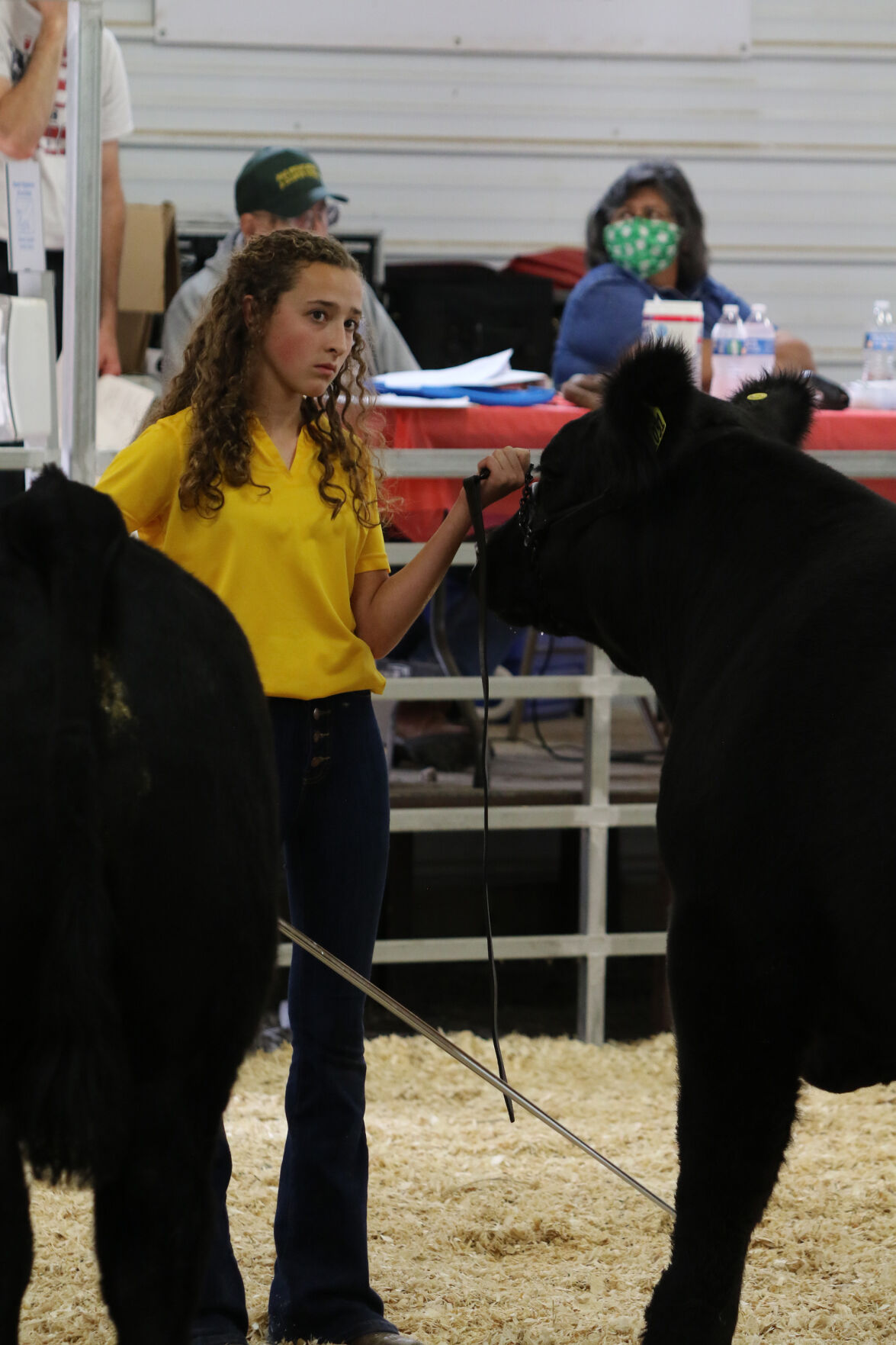 PHOTOS: Market Beef Show 2020